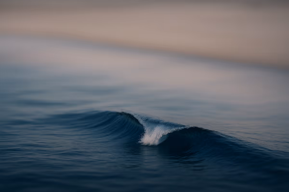 Help Center Design: What the Best Support Sites Get Right